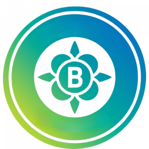 Barefoot coaching logo