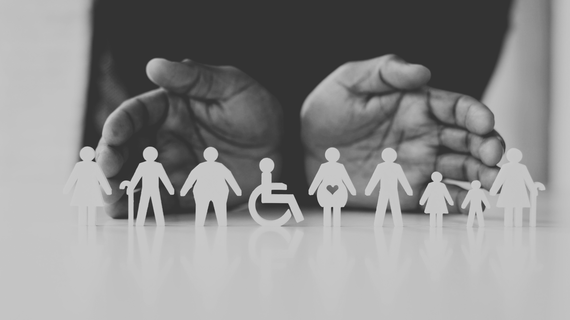 Our Diversity Data 2024 25 Halborns