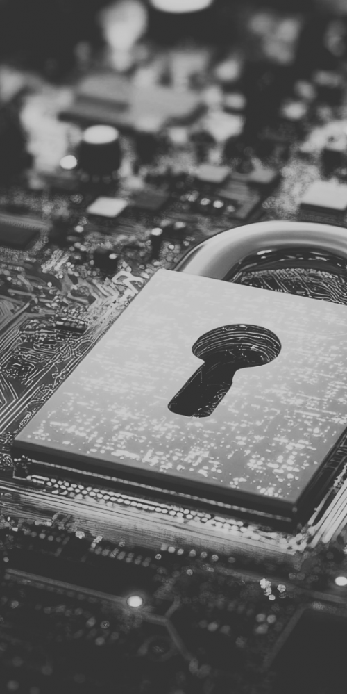 Microchip with padlock image