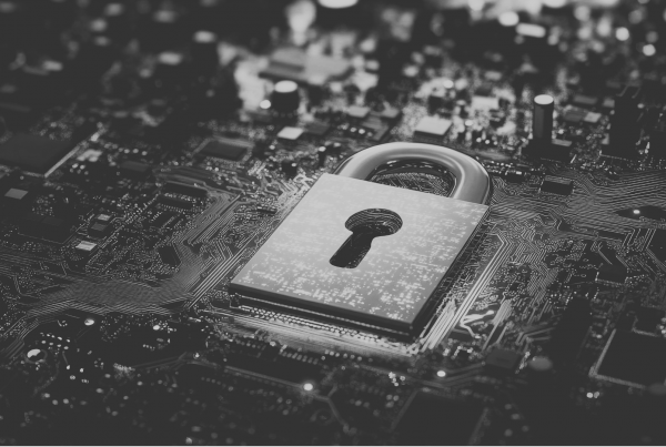 Microchip with padlock image